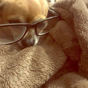 Meet your Posher, Julie